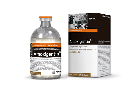 Amoxigentin